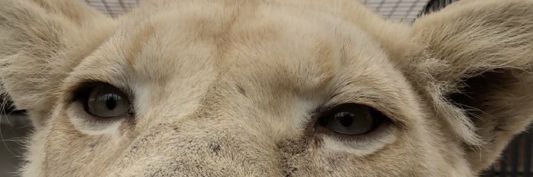 Jajaa951's profile banner image