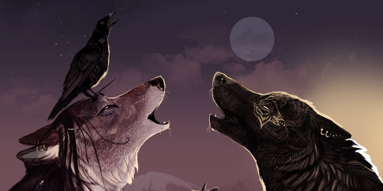 wolfboyclan's profile banner image