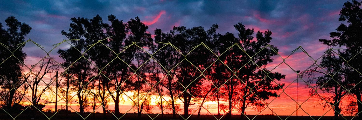 ollocco's profile banner image