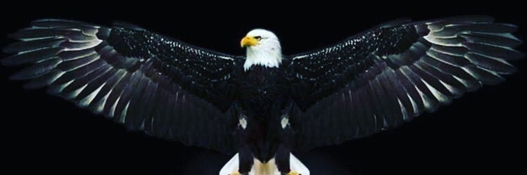 ozturky's profile banner image