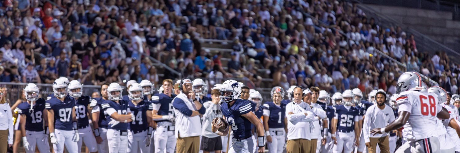 Lark Anderson banner