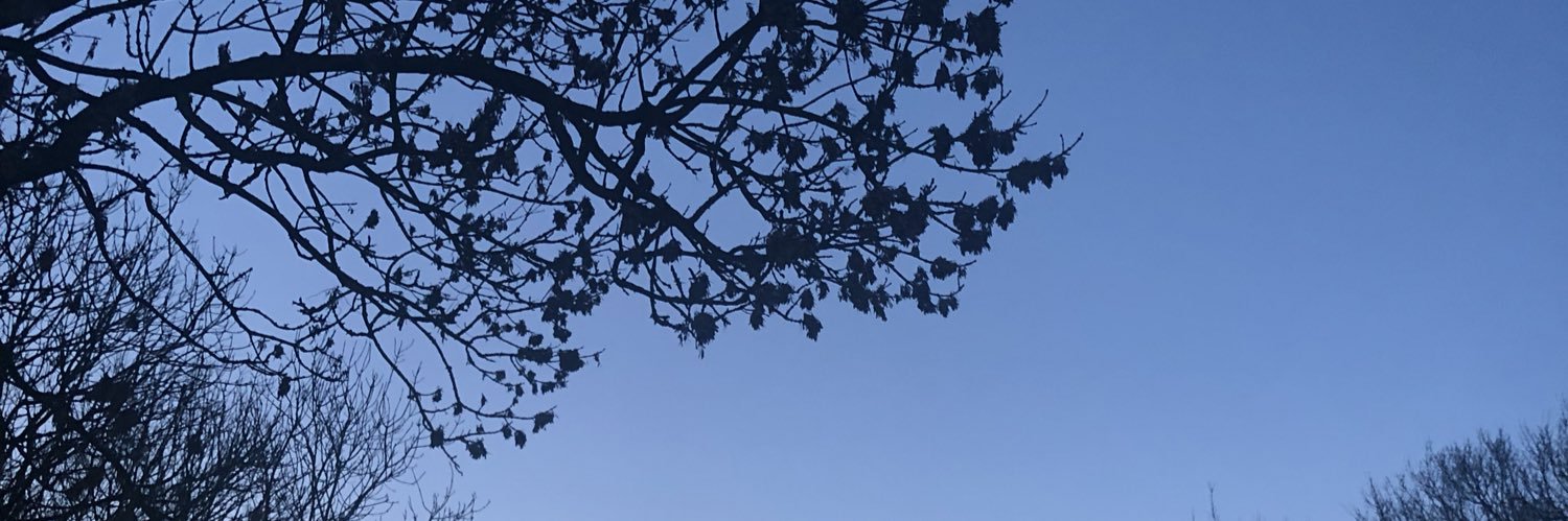 angelashields12's profile banner image