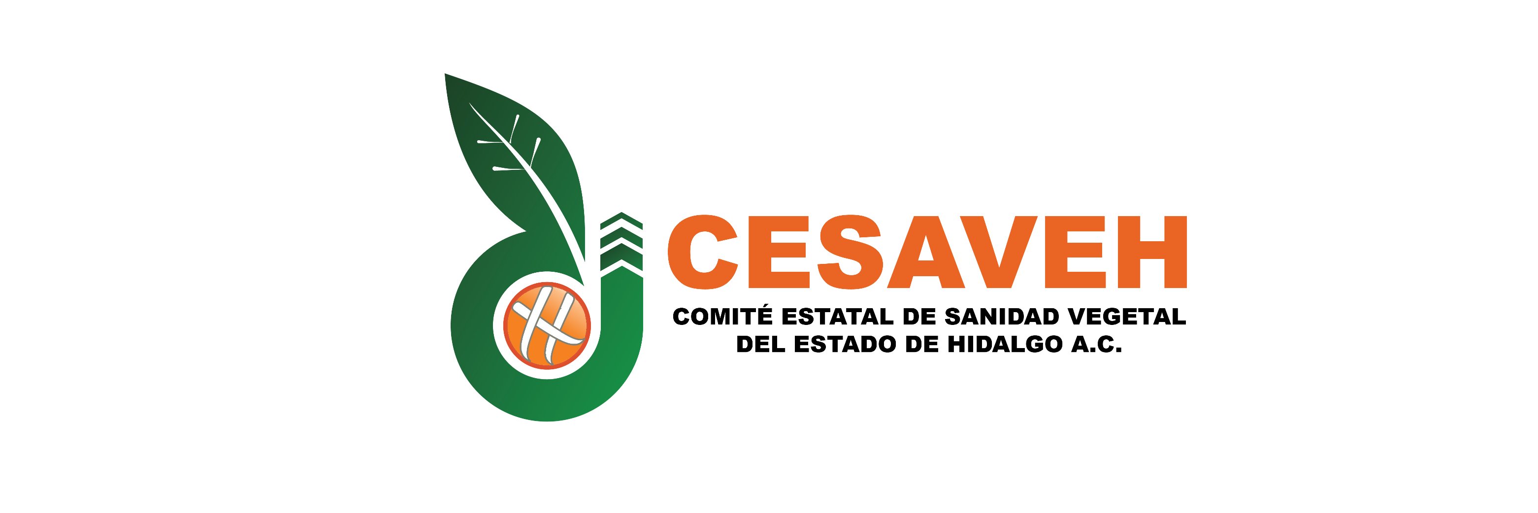 cesaveh's profile banner image