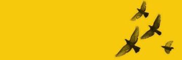 th__tota's profile banner image