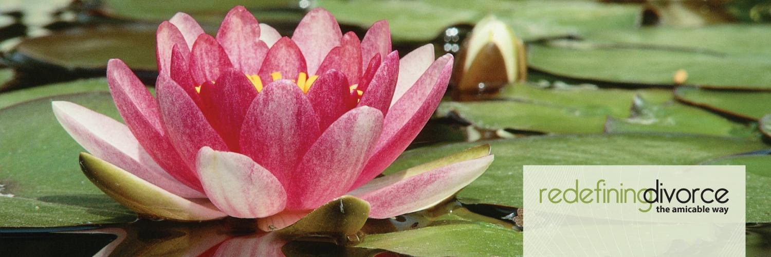 Redefining Divorce banner