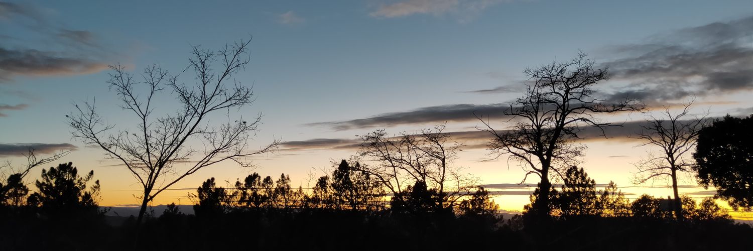 _Figu_'s profile banner image