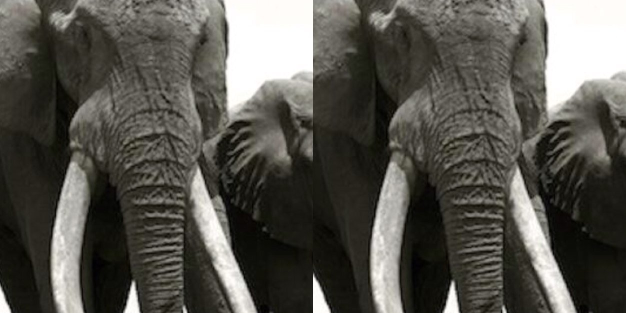 Mbilia_Bell's profile banner image