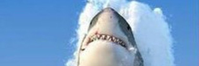 Jeff Donnelley banner