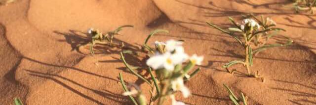 art504450's profile banner image