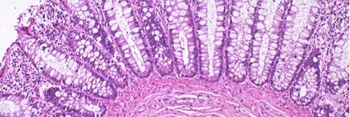 Geoff Talmon, M.D. banner