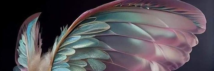 Mathalia08's profile banner image