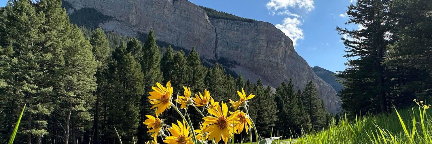 Corey Jackson banner