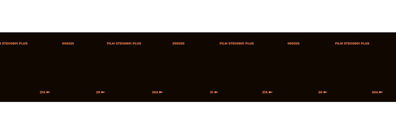 STEii's banner