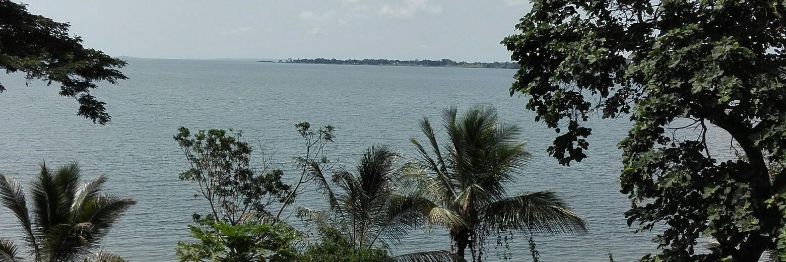 Alex UG 🇺🇬🇰🇿 banner