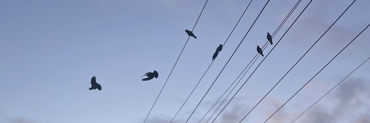 DobbysOddSocks's profile banner image