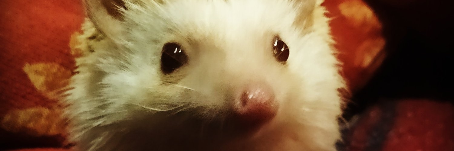 javiiOrdenes's profile banner image