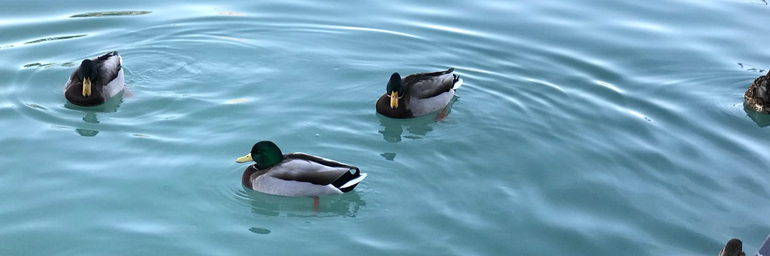 Liliana Arnabal banner