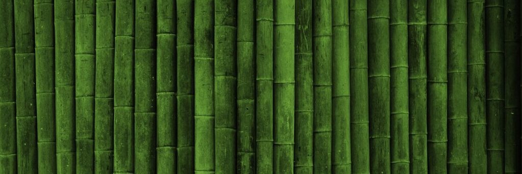bernardoizsak's profile banner image
