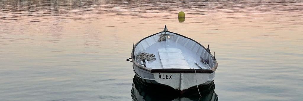 Àlex Villeyra banner