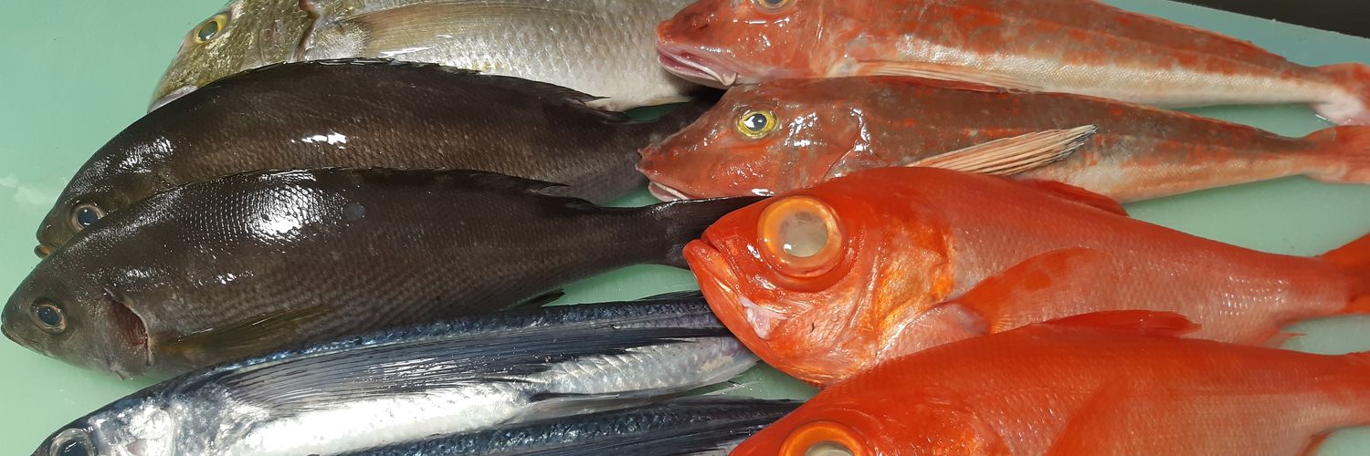 ゆーき＋🐟 banner