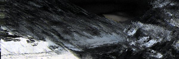 nftpedlar Profile Banner
