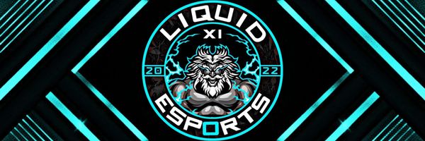 Liquid eSports PS4/5 Profile Banner