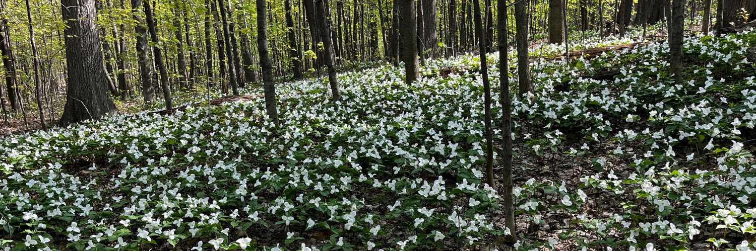 David L. Hutchinson banner
