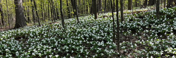 DavidHutch Profile Banner