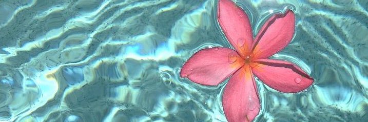 𝒞𝒽𝒾𝓃𝒶🌺 banner