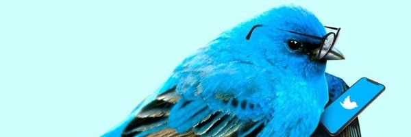 TomTaufer Profile Banner