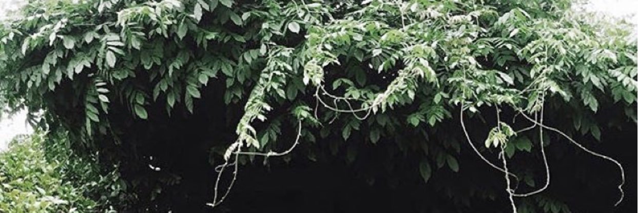 alissamdrs's profile banner image