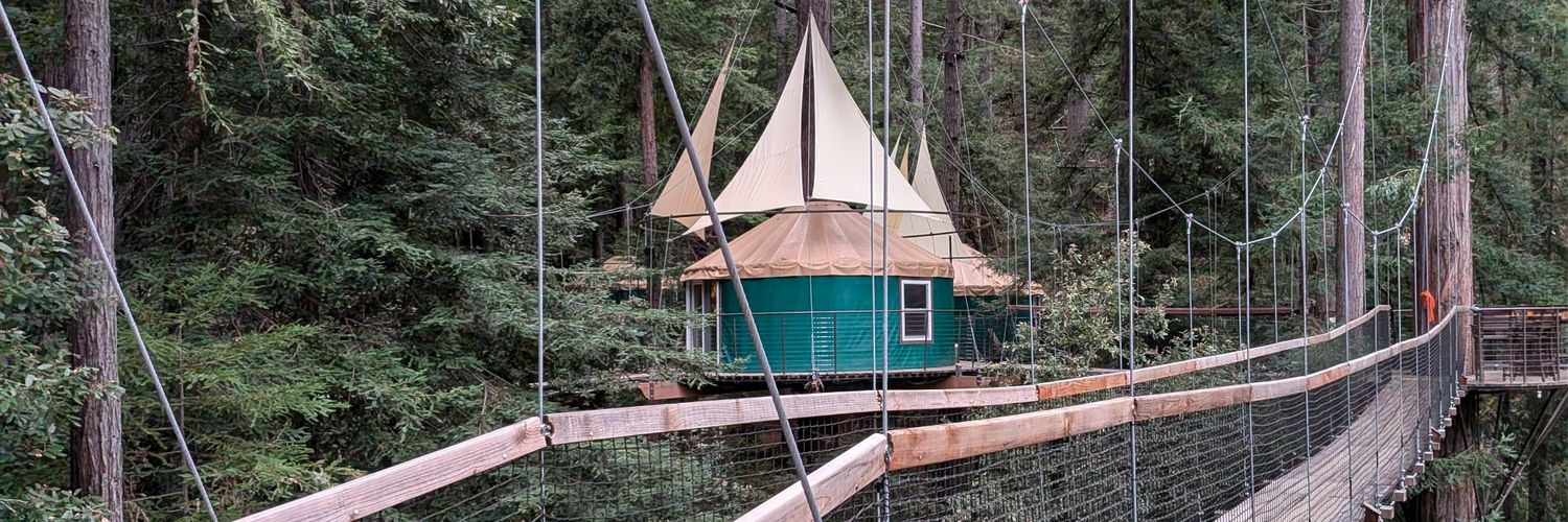 Melissa Krawczyk banner