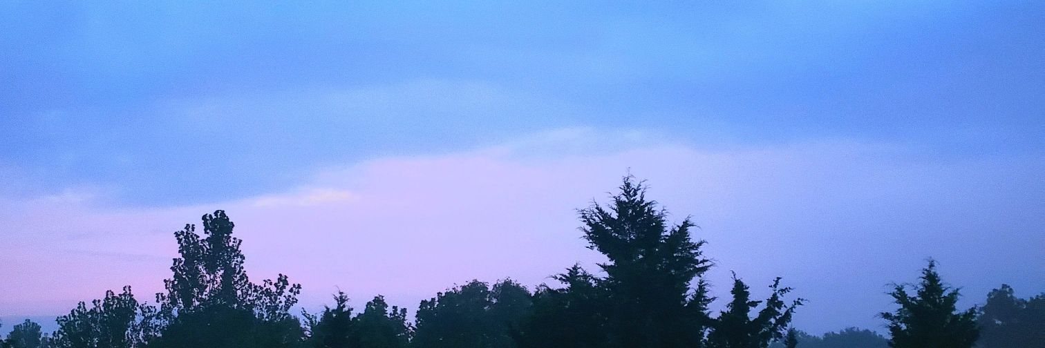 Leezus H. Christ banner