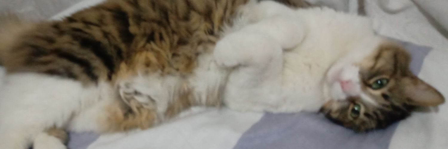 anlytv's profile banner image