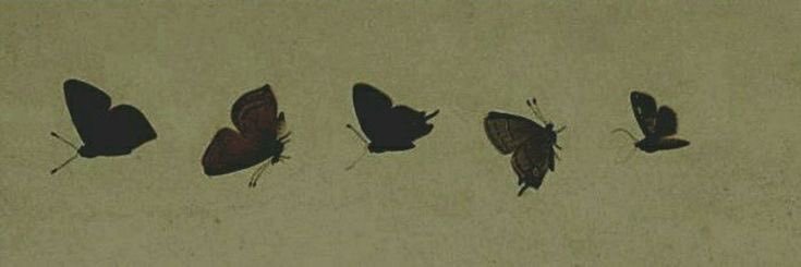feet wentz's banner