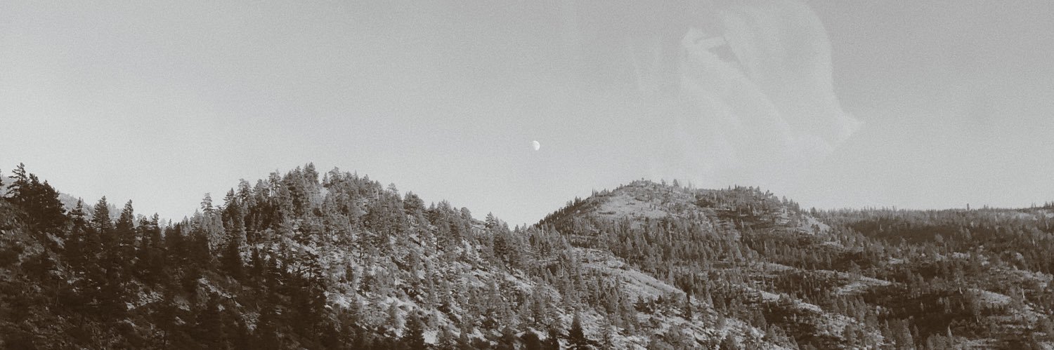 nattywilly2's profile banner image