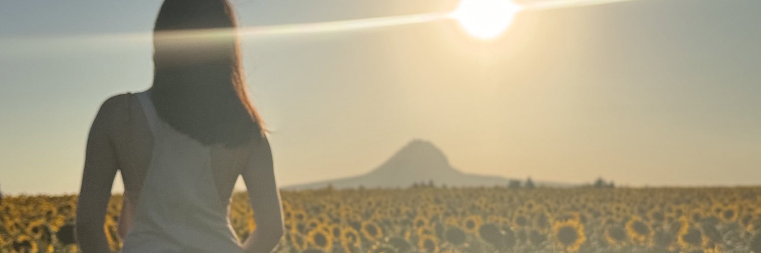 GreyGuerra's profile banner image