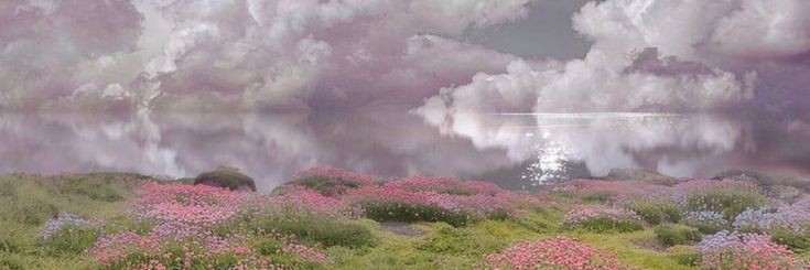 DM @aishstwt 🤍 banner