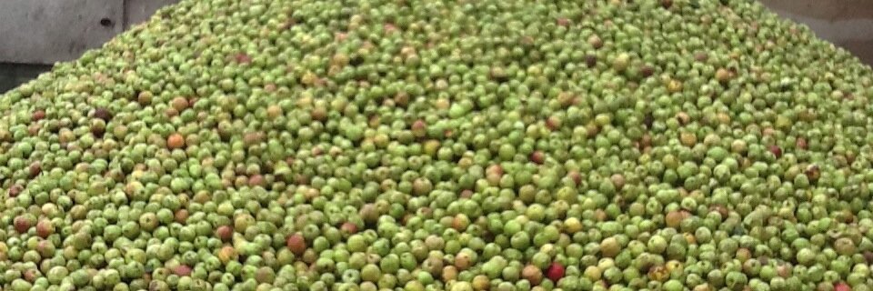 ONE Cider & Perry banner