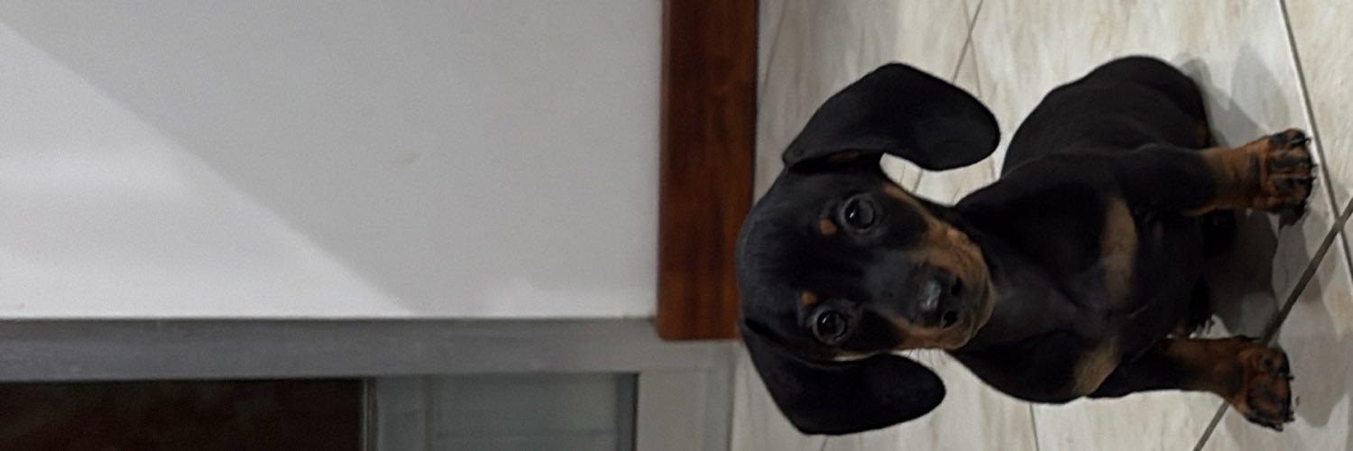 alissonandram's profile banner image