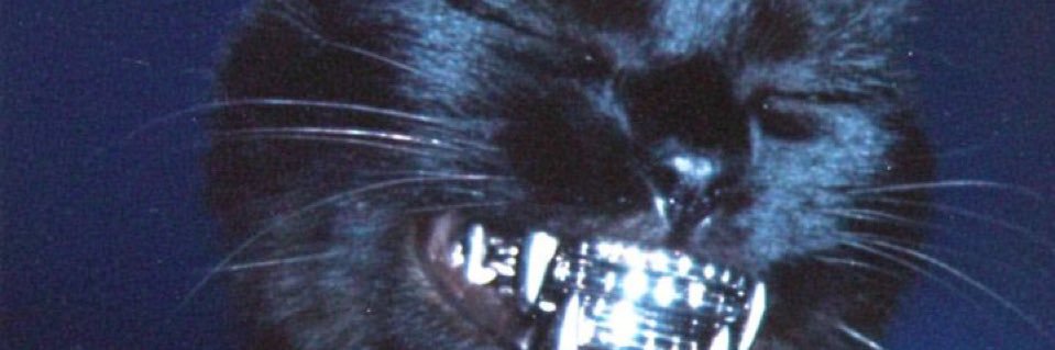 naimani_'s profile banner image