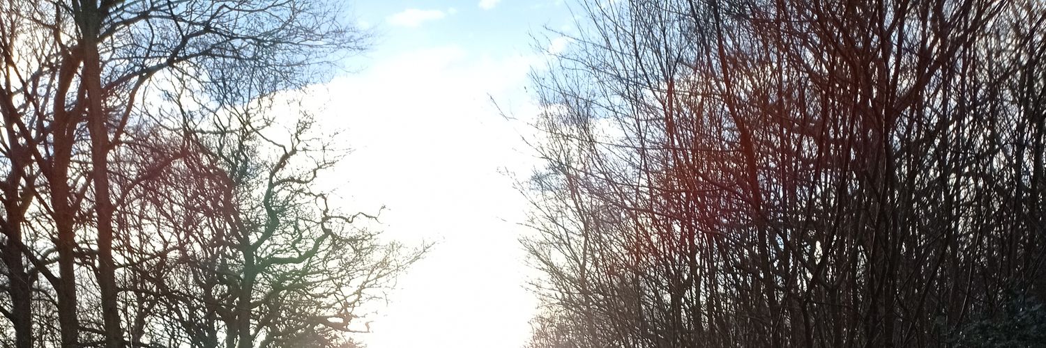 PsyCarr's profile banner image