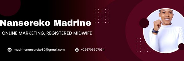 nanserekomadri2 Profile Banner