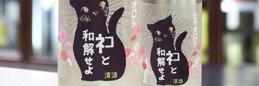 弾丸湯治部♨ banner