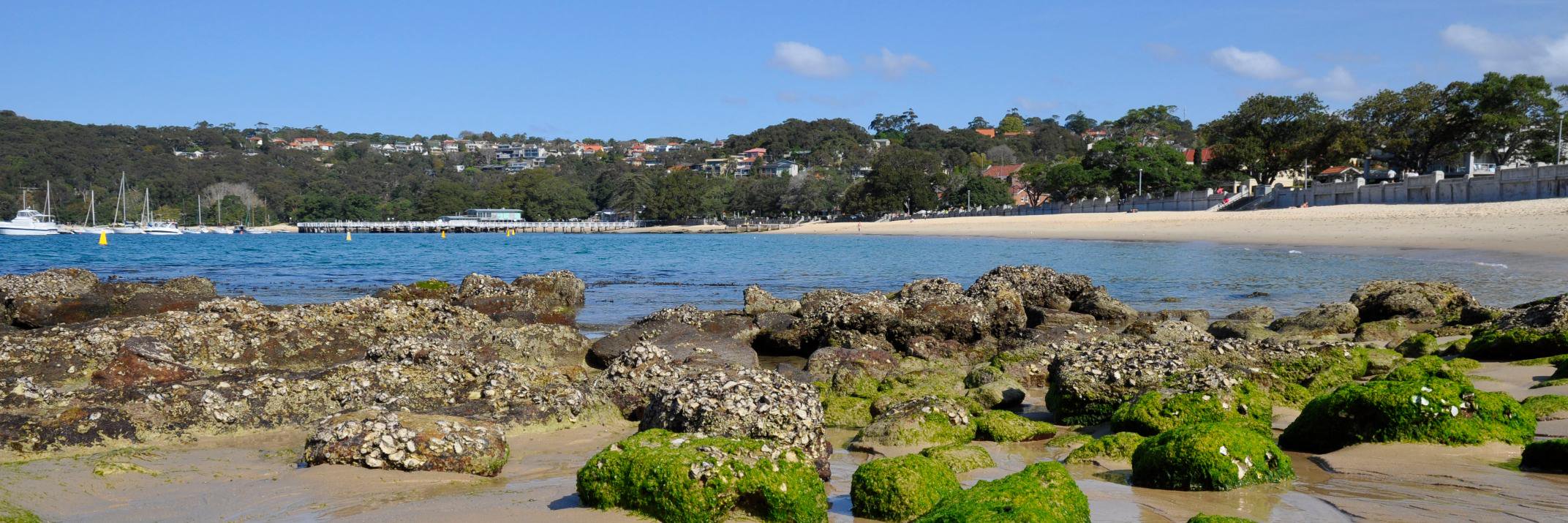 Mosman Council banner