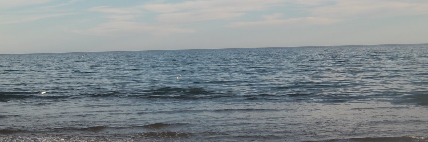 nohemimenaa's profile banner image