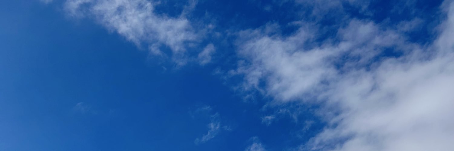 chon_vp's profile banner image