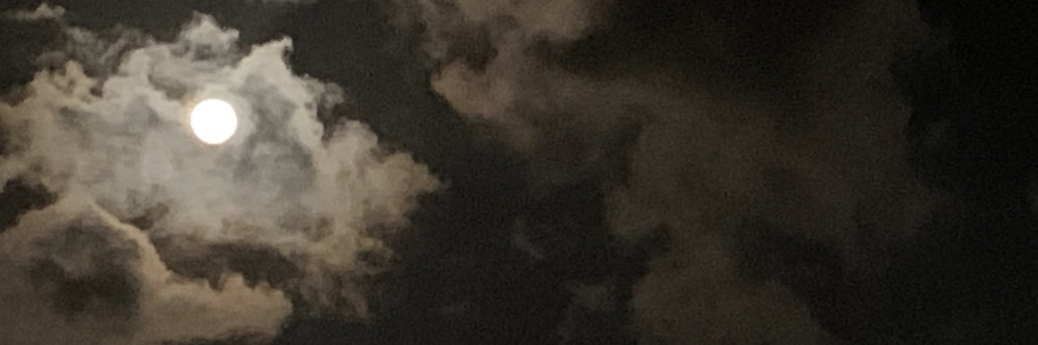 9mt4453's profile banner image