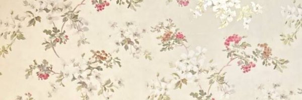 lactis_ Profile Banner