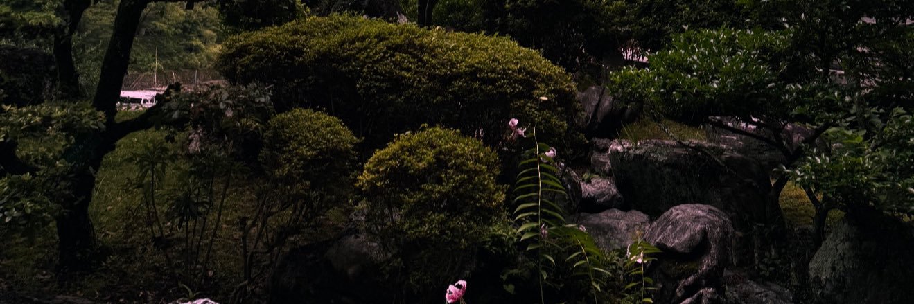 evanalanis's profile banner image